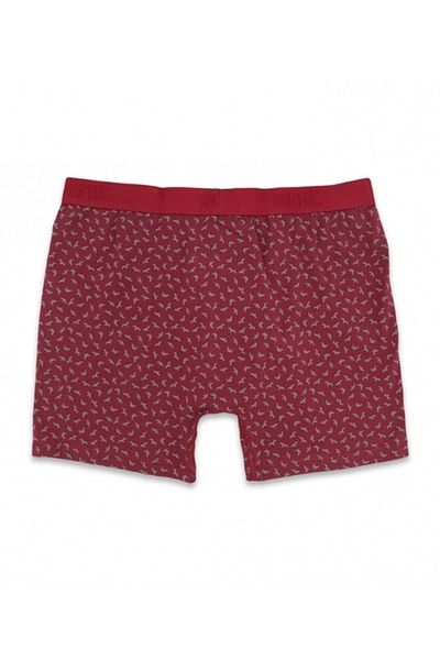 ÇamaşırcımShop 1267 Men's Lycra Combed Cotton Boxers