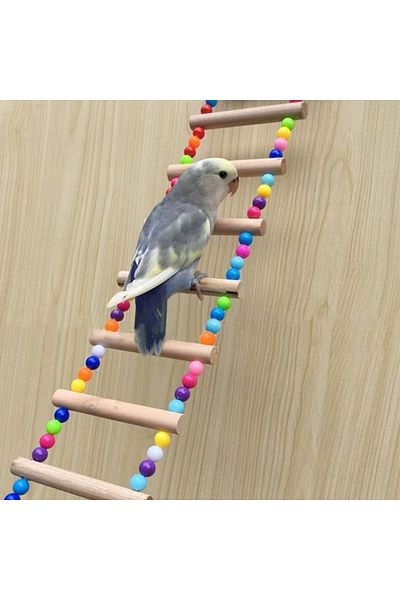 Petistera Wooden Bridge/stair for Budgie 27x7cm