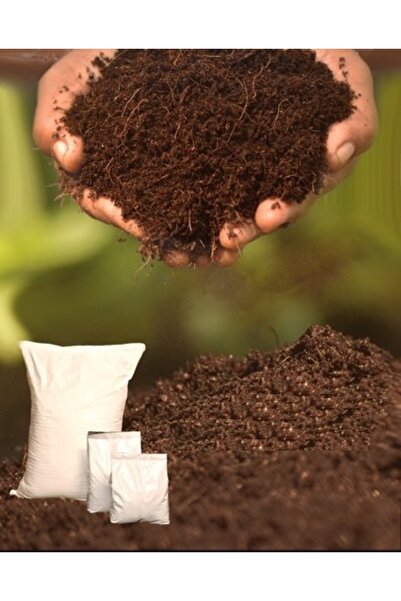 Asenya Çim Kapak Toprağı 1 Kg Gübreli Toprak Çim Ekim Toprağı Çim Örtü Toprağı