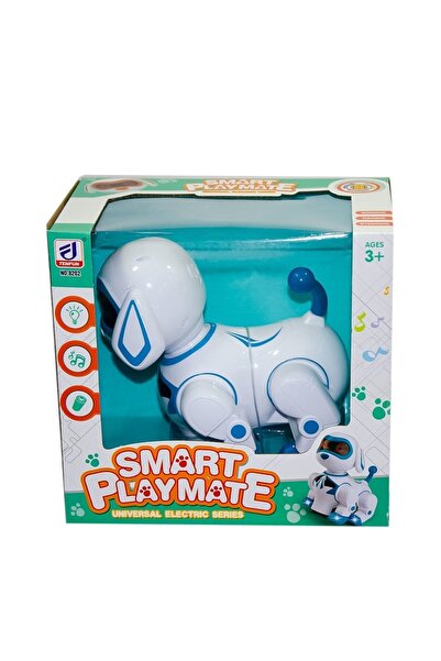 TOYSTURKA Pilli Kutulu Işıklı Müzikli Robot Köpek