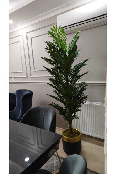 İremÇiçekçilik Siyah Gold Saksıda Yeni Areka 170 Cm Yapay Ağaç