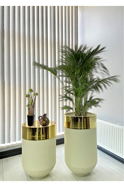 evdeniste Dekoratif Gold Darbuka Beyaz Saksı 70cm + Sehpa 60cm Ikili Set