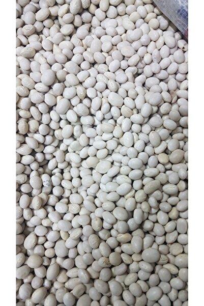CANLAR Şeker Fasulye 1kg 2.kalite