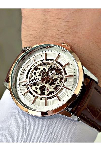 Reward Brown Classic Automatic Leather Band Business Men's Wristwatch + Bracelet Gift