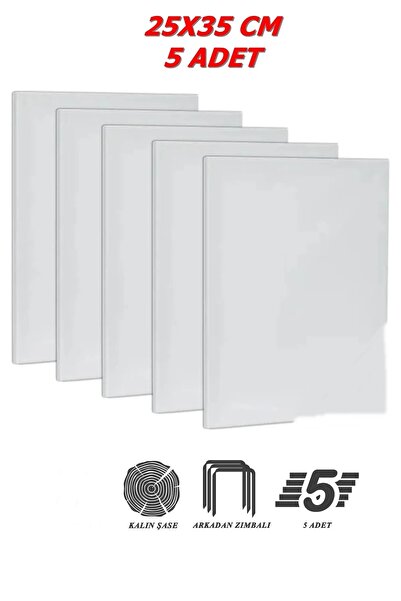 SEYFİKİRTASİYE 5 Adet 25x35 Cm Bez Tuval Arkadan Zımbalı Kalın Şase 210 Gr %7...