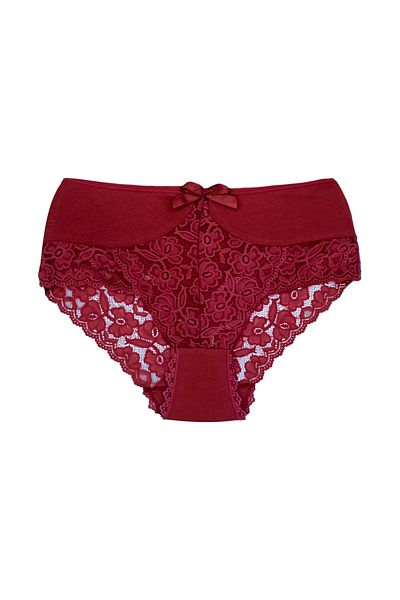 Zena Burgundy High Waist Plus Size Women's Panties with Lace Front and Back