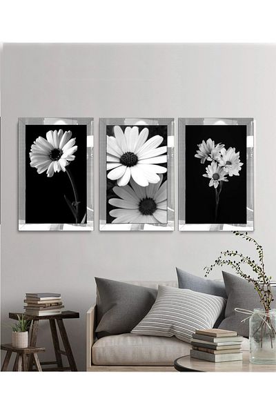 avm19 Τριπλός πίνακας Daisy με ασπρόμαυρο πλαίσιο από πλεξιγκλάς