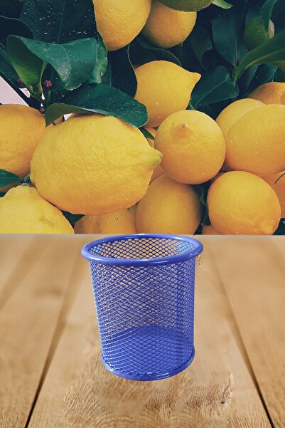 SEYFİKİRTASİYE Masaüstü File Metal Kalemlik 10 Cm Mor