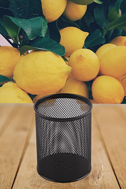 SEYFİKİRTASİYE Suport pentru stilou din plasă metalică de birou 10 Cm Negru