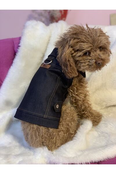 aria pet butik Köpek Kedi Kot Ceket Yelek