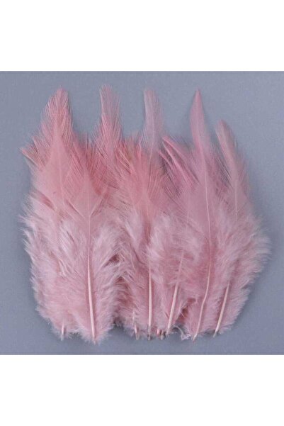 Aker Hediyelik 100lü Somon Otriş Kuş Tüyü 1 5x2 Süslemelik Somon Kuş Tüyleri ...