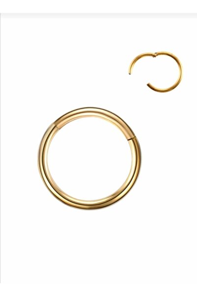 Araz piercing Cartilage and Earlobe Hook Piercing