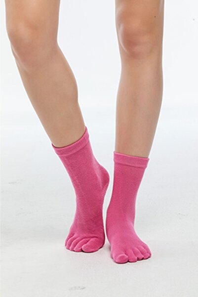 lacoton جوارب نسائية قطنية ملونة بلون الكاردينال - Ts-0202