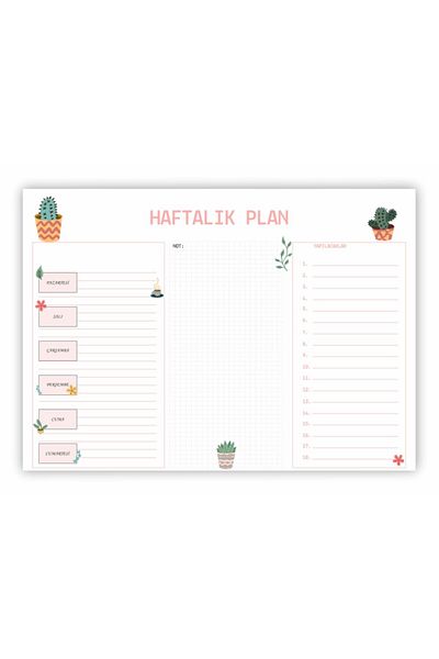 Hsn Caiet săptămânal planificator 62 pag