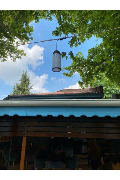 ACK Zerpa Sarı Ağaç Feneri Z 13301