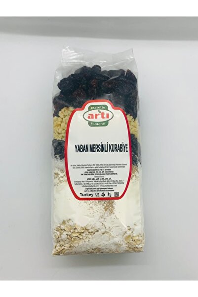 Artı Lezzet Yaban Mersinli Kurabiye Karışımı