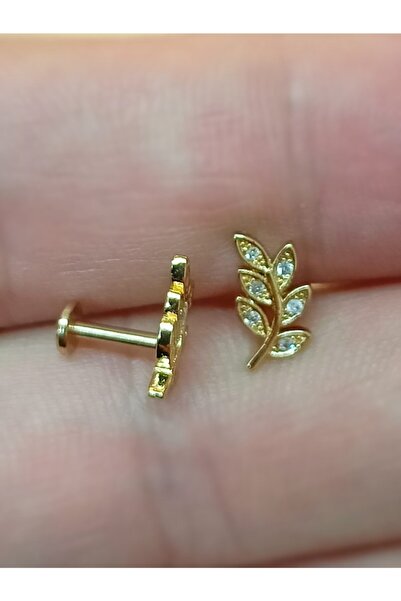 TakıConcept 316l Medikal Antialerjik Paslanmaz Çelik Tragus-Helix Kulak Piercing