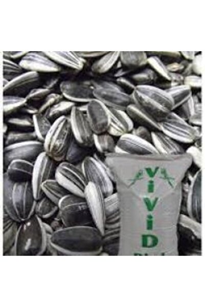 Vivid Bird Papağan Alaca Çekirdek Küçük Boy 1kg