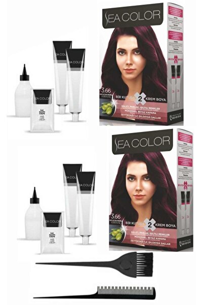 Sea Color Bir Kutuda 2 Boyama X2 Adet 3.66 Patlıcan Moru+tarak-fırça