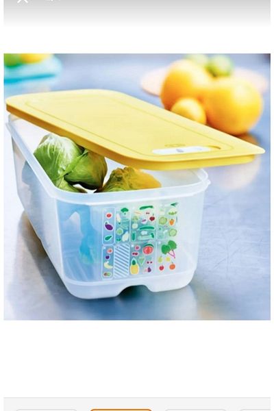 Tupperware Greenhouse Series Vegetable Fruit Storage Container 6.1 Liter