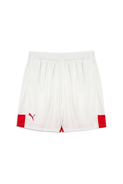 Puma Kids Turkey National Basketball Team Jr Shorts