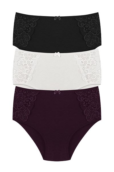 HNX 3-Piece Cotton Lace Sides High Waist Plus Size Women's Panties