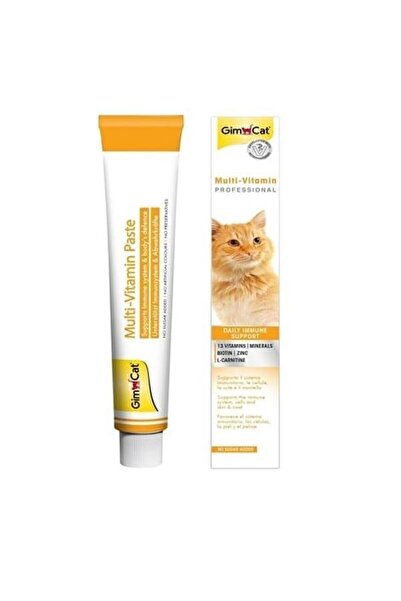 Gimcat Kedi Macunu Multivitamin 100 Gr