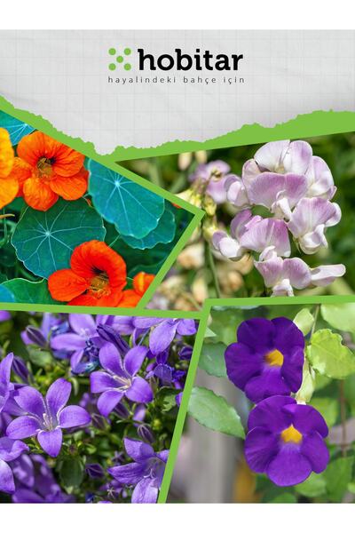 Genta Hobitar Sarılmayı Sevenler Çiçek Tohumu Paketi - 4 Çeşit Çiçek Tohumu