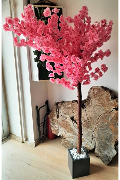YEŞİLADA Pembe Bahar Dalı Ağacı 1.90 Metre Boyunda Ahşap Antrasit Gri Renk Sa...