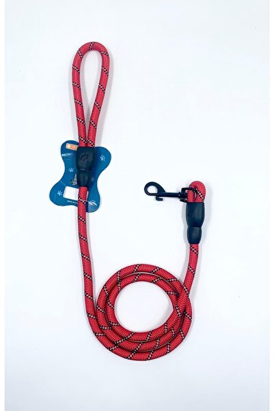 Ans Şeritli Fitil Gezdirme Tasması 10mm