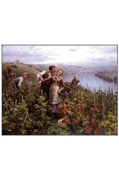 Cadence Kolay Transfer Cktxl12 -35x50cm