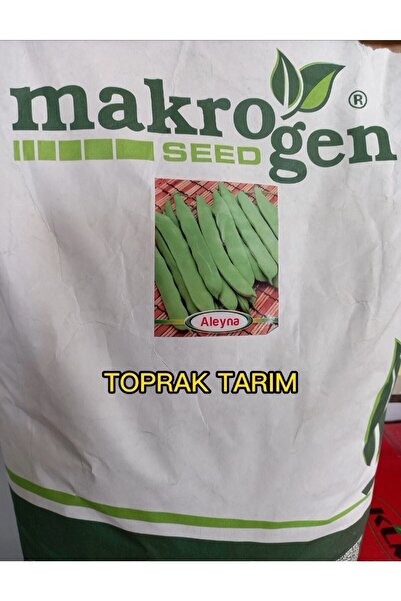 Makrogen Tohum Taze Fasulye Tohumu Aleyna (cino) (oturak) Cino Oturak Taze Fa...