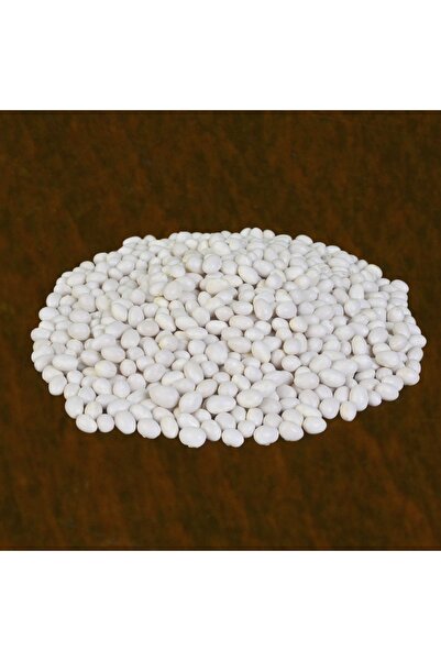 Nezahat Dolu Coğrafi Işaretli Akkuş Şeker Fasulyesi 1000 Gr (vakumlu 1 Kg)