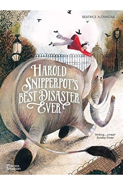 Kolektif Kitap Harold Snipperpot's Best Disaster Ever