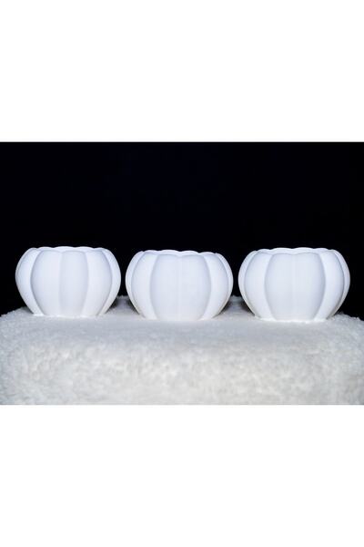 DNZ DEKOR 3 Lü Bal Kabağı Mumluk, Sukulent Saksı Ve Biblo