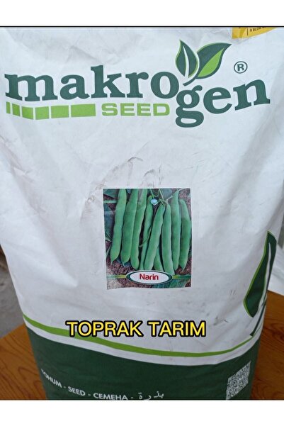 Makrogen Tohum Taze Fasulye Tohumu Narin Oturak Sarıkız Taze Fasulye Tohumu 1 Kg