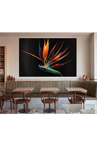 HDART Modern Renkli Kuş Duvar Kanvas Tablo Tablosu Tabloları