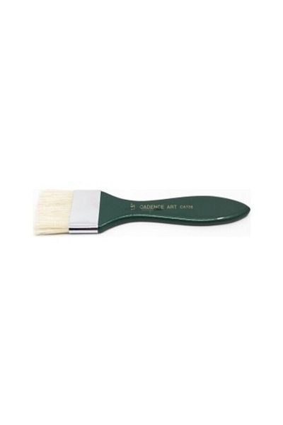 Cadence Green Floor Brush - Economic and Hobby No:1 Capital