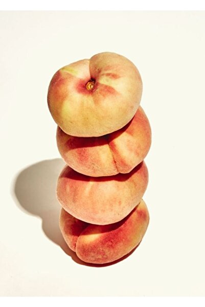 ahalfidan Tüplü Paraguay Yassı Şeftali Fidanı