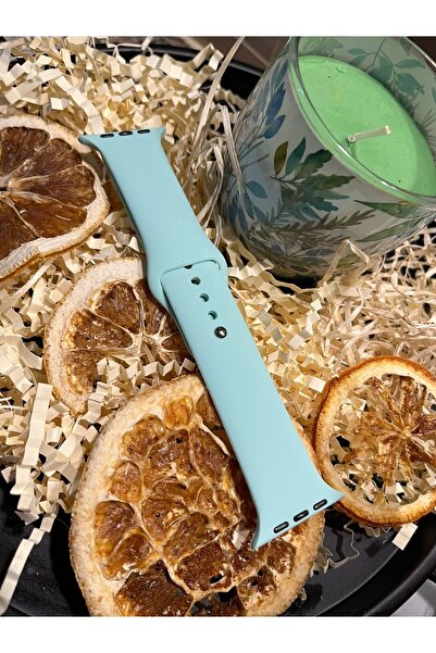 Casetify Apple Watch 42/44 Mm - Saat Kordonu