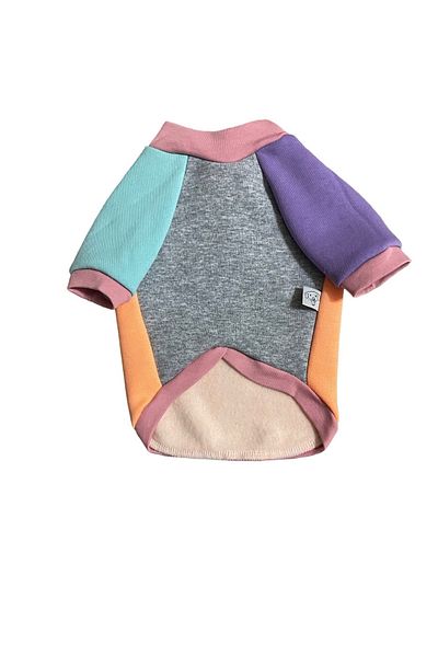 Barneystore Cat Dog Colorful Sweat
