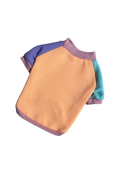 Barneystore Cat Dog Colorful Sweat