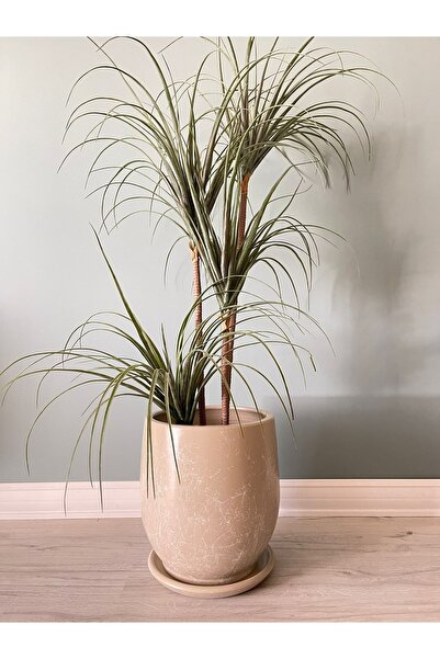 odka 25litre Armut Saksı Tabaklı Yükseklik:32cm Çap:26cm Mia Taş Mermer Desenli