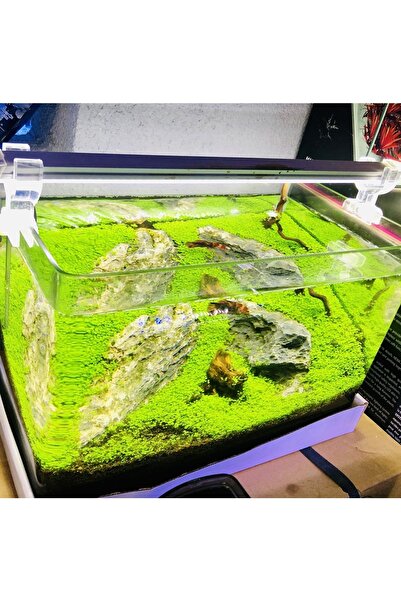 Aqualed Full Spectrum Bitkili Akvaryum Aydınlatm 4 Renk 5730 Smd 30 Cm