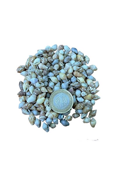 TT Tahtakale Toptancıları 500 جرام من صدفة ناسا - وزن محلي