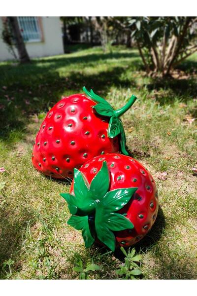 biomaxi plus Ikili Çilek Biblo Takim 27 X 38 CM 20 X 26 CM