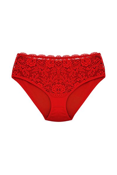HNX 3-Piece Cotton High Waist Lace Detailed Plus Size Women's Panties