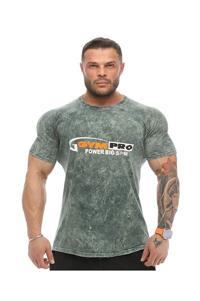 Big Sam Green Slim Fit Cotton T-Shirt 2864