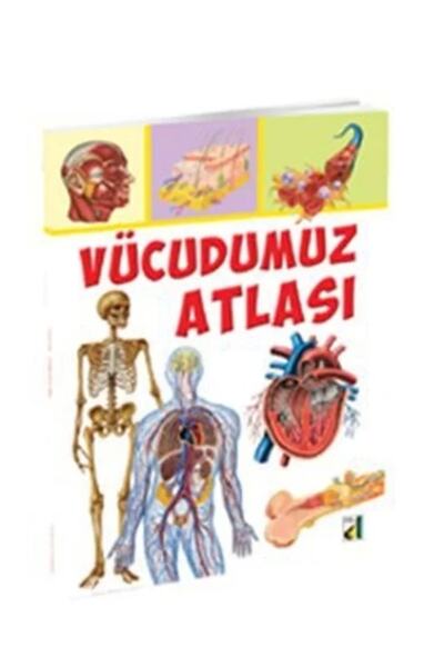 Damla Yayınevi Vücudumuz Atlası Vincenzo umano