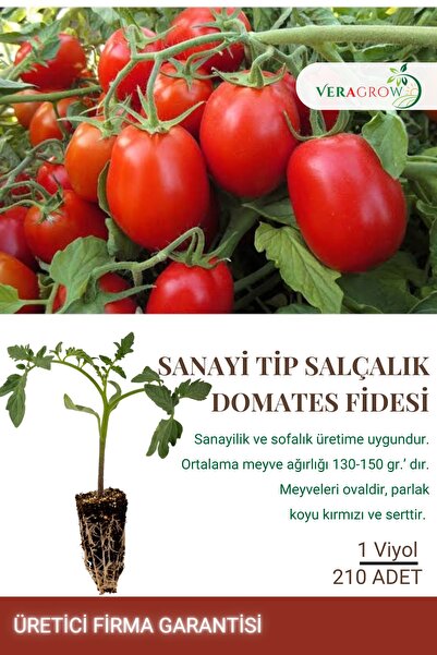 VERAGROW Biolife Fide Sanayilik Tip Salçalık Domates Fidesi 300 Adet Kaliteli...
